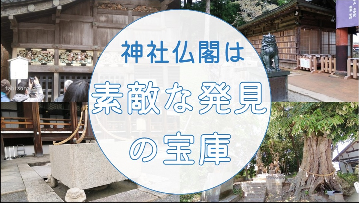 神社仏閣は素敵な発見の宝庫｜手水舎・狛犬・彫刻・御神木の楽しみ方